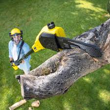 Mulching Services in Rosedale, MD