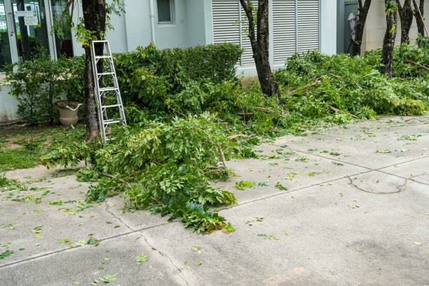 Best Aeration Services  in Rosedale, MD